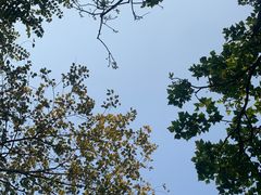 -广州珠江公园