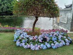 -荔湾湖公园