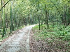 -天花井景区