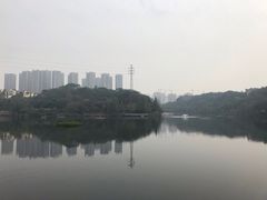 -重庆彩云湖湿地公园