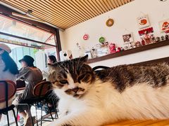 -LOOKA COFFEE(大鹏所城店)
