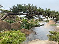 -罗红摄影艺术馆