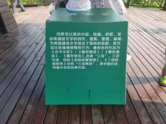 -荷塘月色湿地公园·向阳花洲