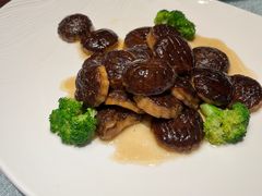 -弘馆·镜湖印象