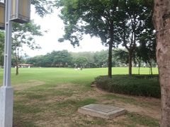 -顺峰山公园