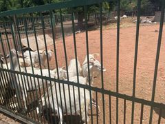 -秦皇岛野生动物园