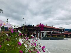 -林芝工布庄园希尔顿酒店-猎味中餐厅