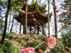 -团城山公园