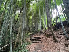 -龙井村
