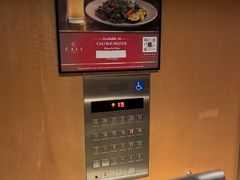 -新加坡柏薇罗切斯特酒店