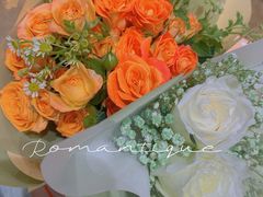 -循礼门鲜花花市(武汉循礼门店)