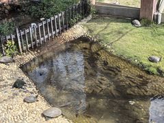 -广东惠东海龟国家级自然保护区