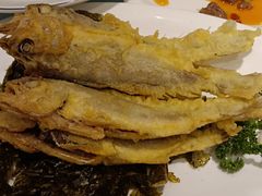 -上海德兴馆(昌里店)