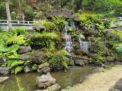 -深圳仙湖植物园