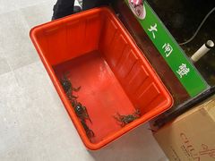 -阳澄湖大闸蟹·琼灵阁牌品牌连锁(吴中总店)