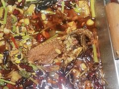 -靠山屯东北农家菜(八龙桥雅苑店)