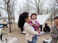 -天津东丽湖风景区