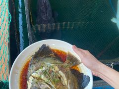 -蓝湾碧波·老字号·疍家非遗海上餐厅