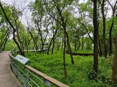 -西湖风景区-江洋畈生态公园