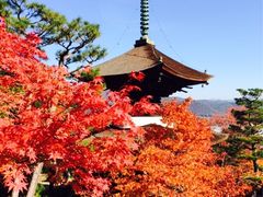 常寂光寺-常寂光寺