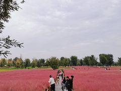 -汉长安城未央宫国家考古遗址公园