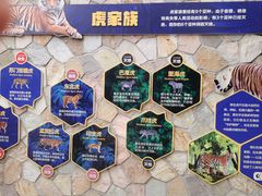 -成都动物园