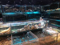 水产区-金翠皇宫粤菜·点心·海鲜(科技园店)