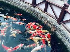 -香麒园·过桥米线·南湖雅宴
