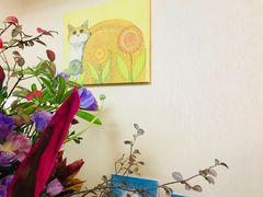 -猫音日语留学培训