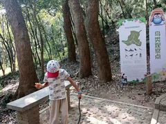 -上海佘山国家森林公园天马山园