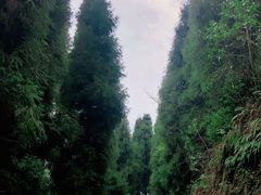 -九峰山