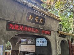 -天门沟九州驿站树上汤泉