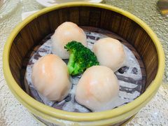 -北海渔村酒楼·粤菜海鲜点心(新华店)