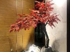 -璞·澐间影院式足道SPA(尚悦湾店)