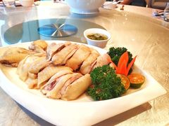 文昌鸡-三亚中心凯悦嘉轩酒店·嘉味餐厅