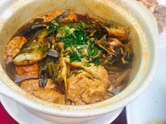 昂刺炖臭大元-双东酒店(东关街店)