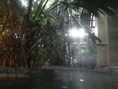 -仁爱团泊湖温泉中心