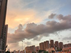 -同庆楼(天鹅湖万达店)