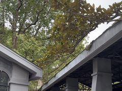 -紫金山索道-售票处