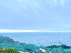 -枸杞岛