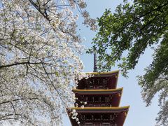 -东湖磨山景区