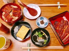 蛋包鳗-本家 柴藤