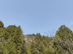-府君山公园