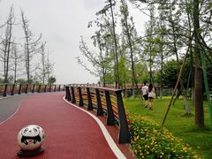 -府河摄影公园