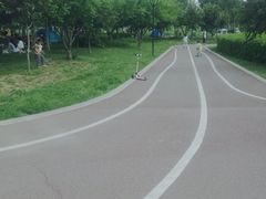 -丁香湖公园
