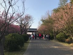 -上海海湾国家森林公园