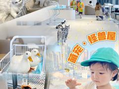 -怪兽屋·羊驼·猫咖·狗咖(俊华广场店)