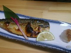 -桥岚·巷子鲜河豚鱼(专门店)