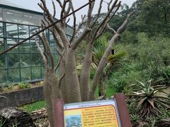 -华南国家植物园-售票处