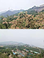 -窦王岭景区游乐场